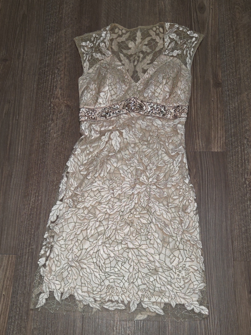 Embellished Lace Sue Wong Sheath Dress in Champagne